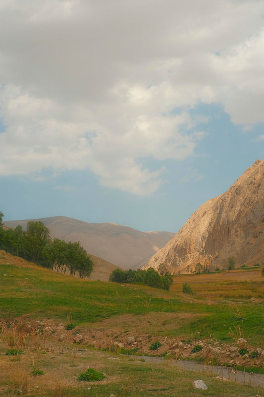 a grassy field with a mountain in the background