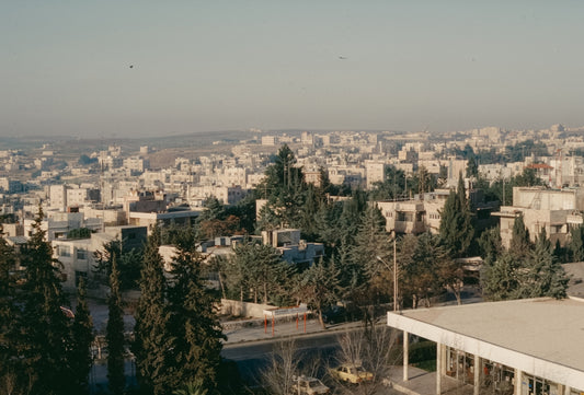Panoramic view of a city with many buildings and trees.