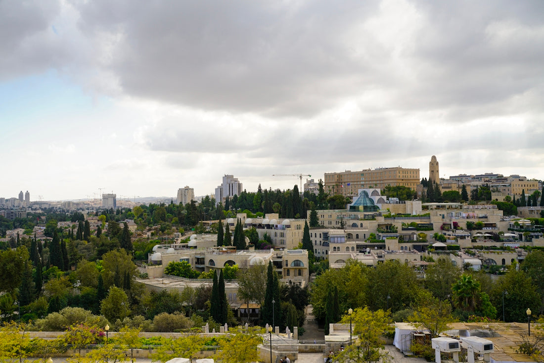 Panoramic view of a city with buildings and trees.